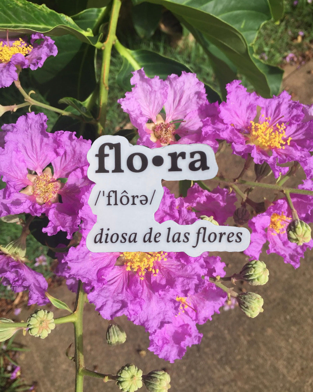 Flo.ra