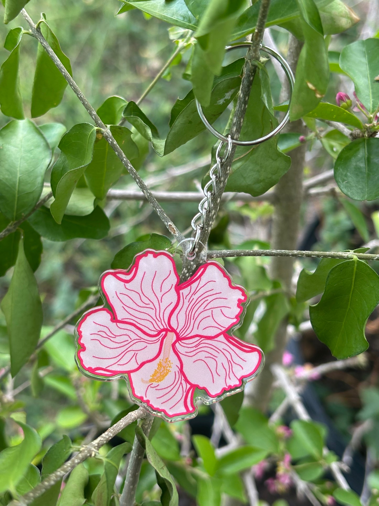 Flor de Maga