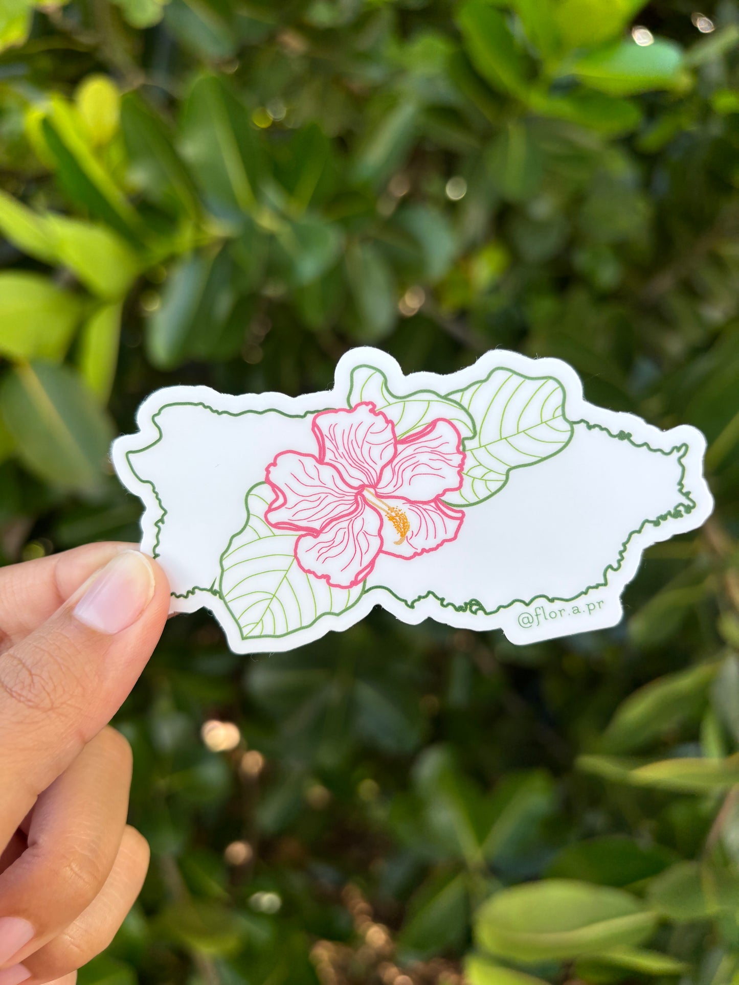 PR + Flor de Maga