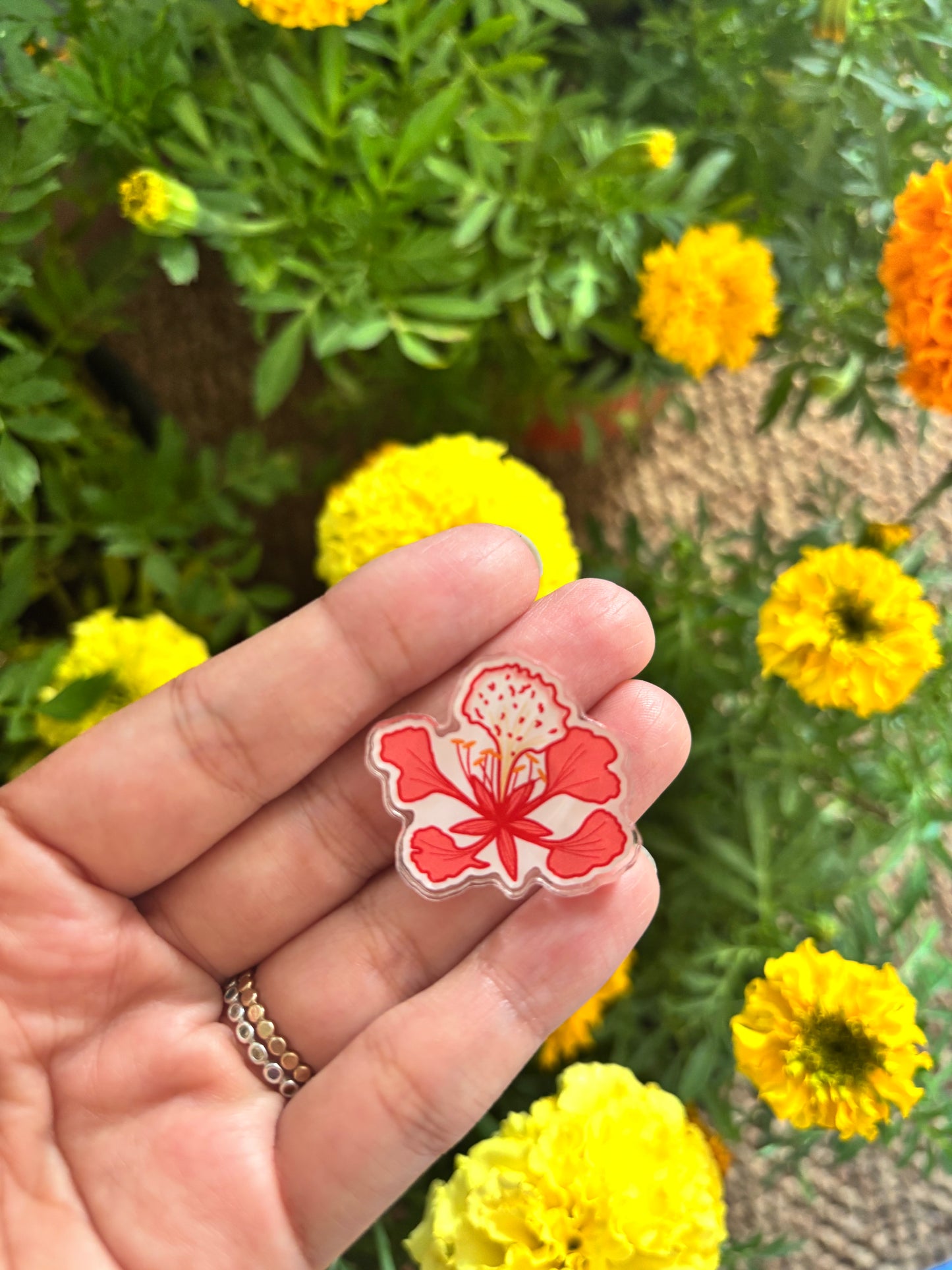 Flamboyán