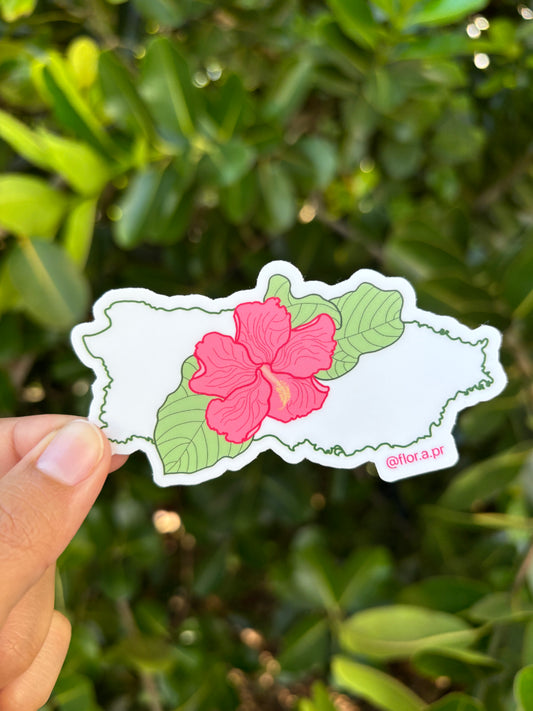 PR + Flor de Maga