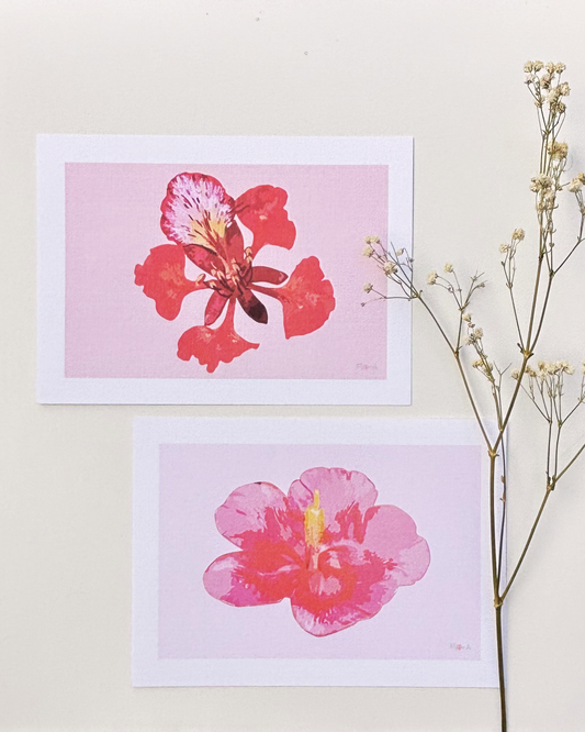 Art Print Bundle