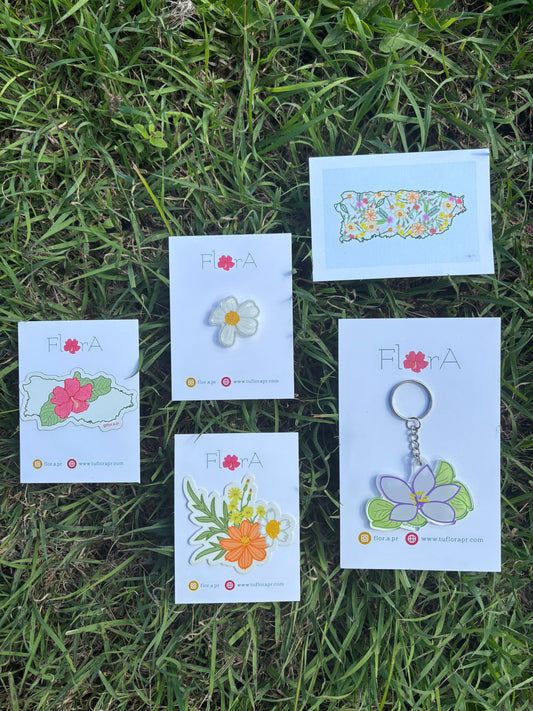 Cajita Jardín Tropical