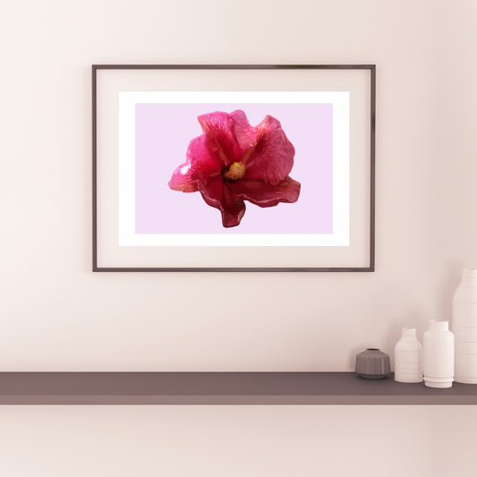 Flor de Maga