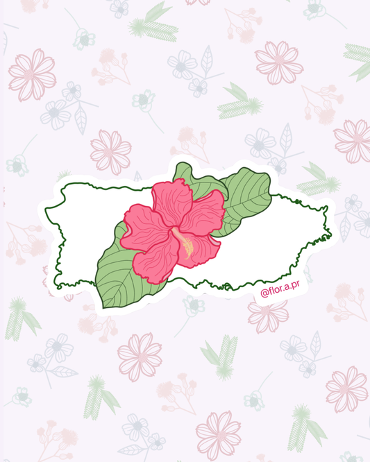 PR + Flor de Maga