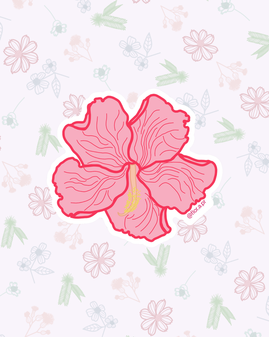 Flor de Maga