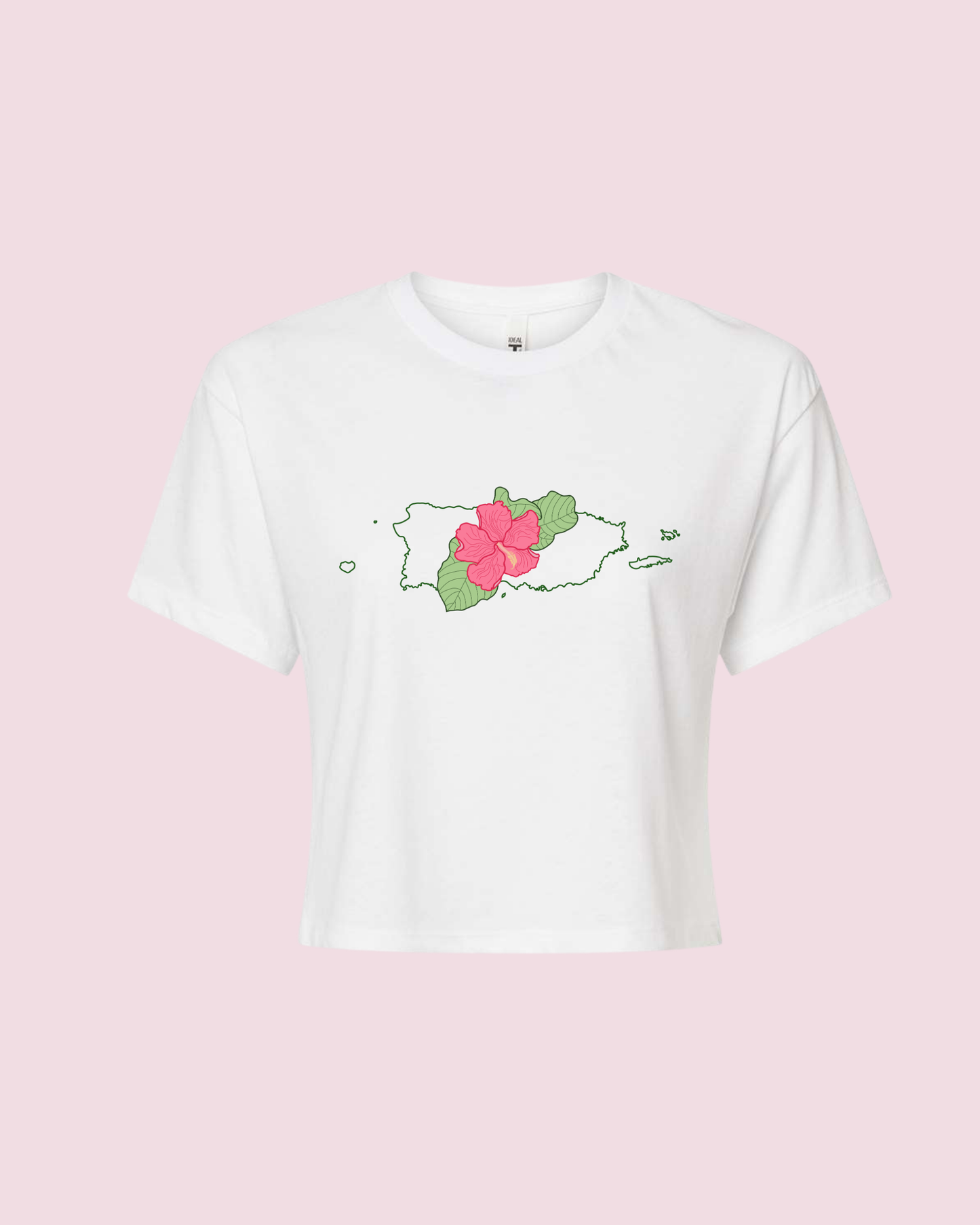 Flor de Maga Crop Trop